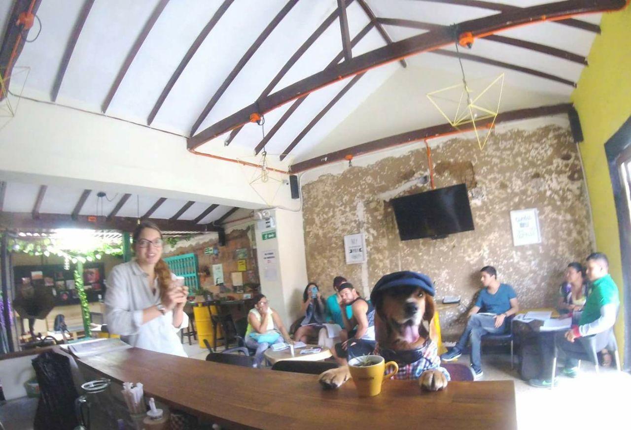 Auberge de jeunesse Panela Medellín Extérieur photo